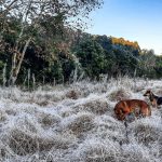 Frio intenso no começo da quarta após tombo da temperatura