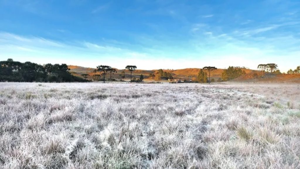 Semana começa com mais frio e outro amanhecer de geada
