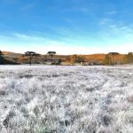 Semana começa com mais frio e outro amanhecer de geada