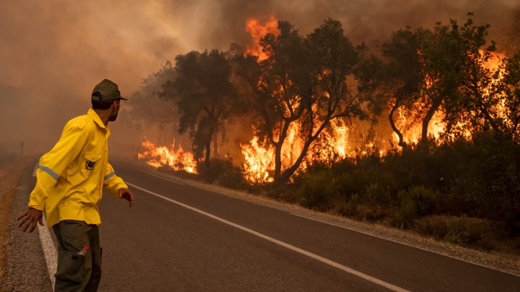 Bolha de calor da Europa causa incêndios no Norte da África