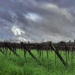 Mais nuvens, abafamento e chuva em algumas regiões