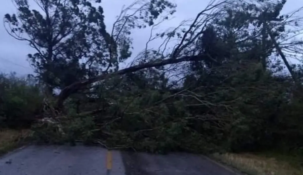 Frente fria chega com vento de até 137 km/h e causa estragos
