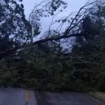 Frente fria chega com vento de até 137 km/h e causa estragos