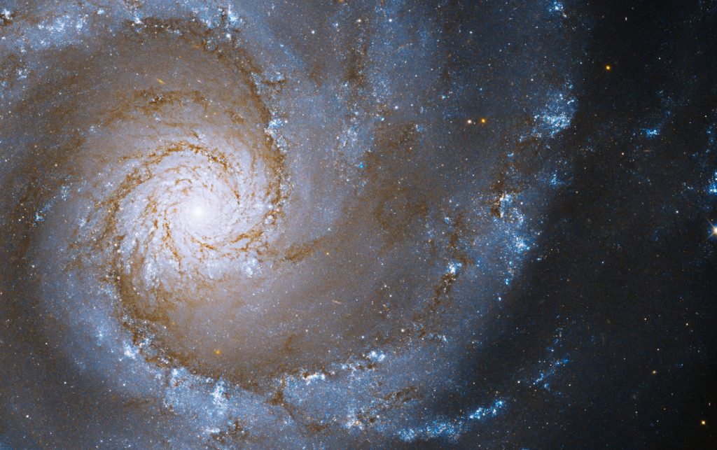 O que a NASA vai mostrar ao mundo e emocionou seus cientistas