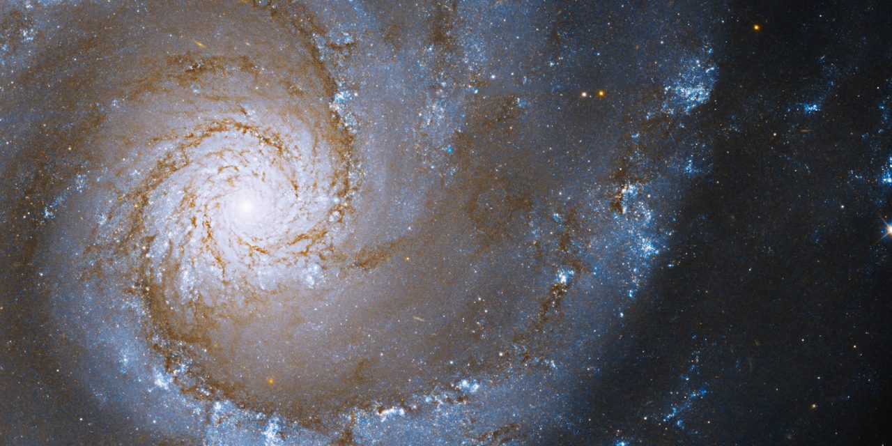 <span class="entry-title-primary">O que a NASA vai mostrar ao mundo e emocionou seus cientistas</span> <h2 class="entry-subtitle">Humanidade passará a enxergar o universo com novos olhos a partir de agora com as imagens do telescópio James Webb</h2>