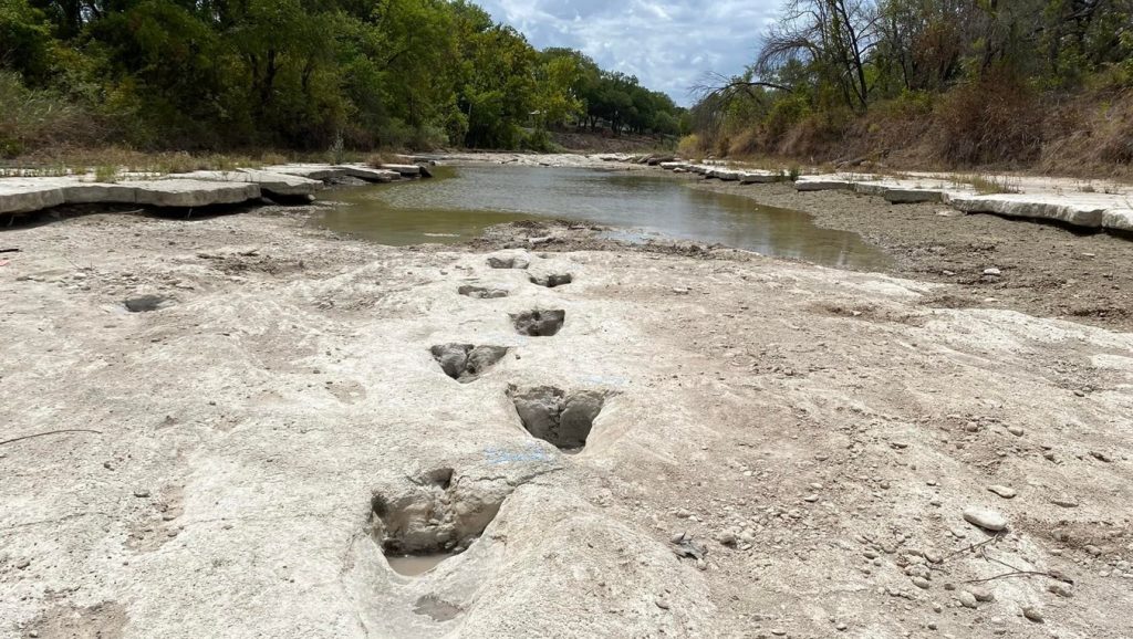Seca revela pegadas de dinossauros nos Estados Unidos