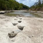 Seca revela pegadas de dinossauros nos Estados Unidos
