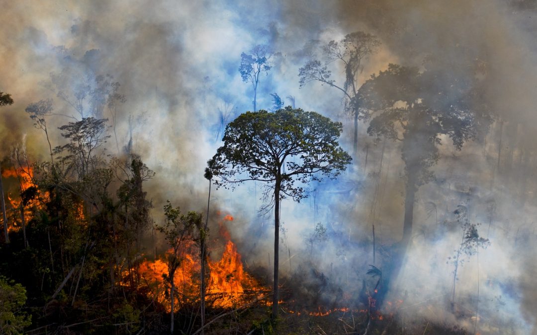 Número de queimadas dispara na Amazônia Bioma amazônico chegou a registrar mais de 3 mil focos de calor em único dia em final de mês de muito fogo na região