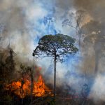 Número de queimadas dispara na Amazônia