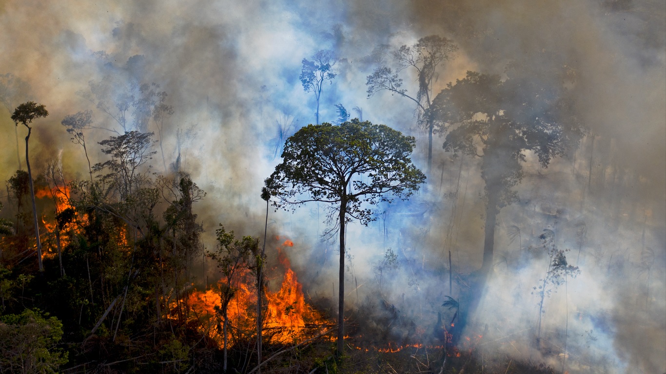 <span class="entry-title-primary">Número de queimadas dispara na Amazônia</span> <h2 class="entry-subtitle">Bioma amazônico chegou a registrar mais de 3 mil focos de calor em único dia em final de mês de muito fogo na região</h2>