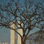 Chuva em Brasília semana que vem?
