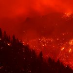 Incêndios florestais duplicaram no mundo nos últimos vinte anos