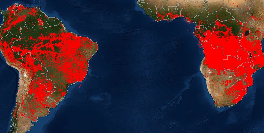 Centro da África está queimando mais que a Amazônia Dados de satélite da NASA mostram que nos últimos sete dias o número de focos de calor foi muito maior na região tropical africana