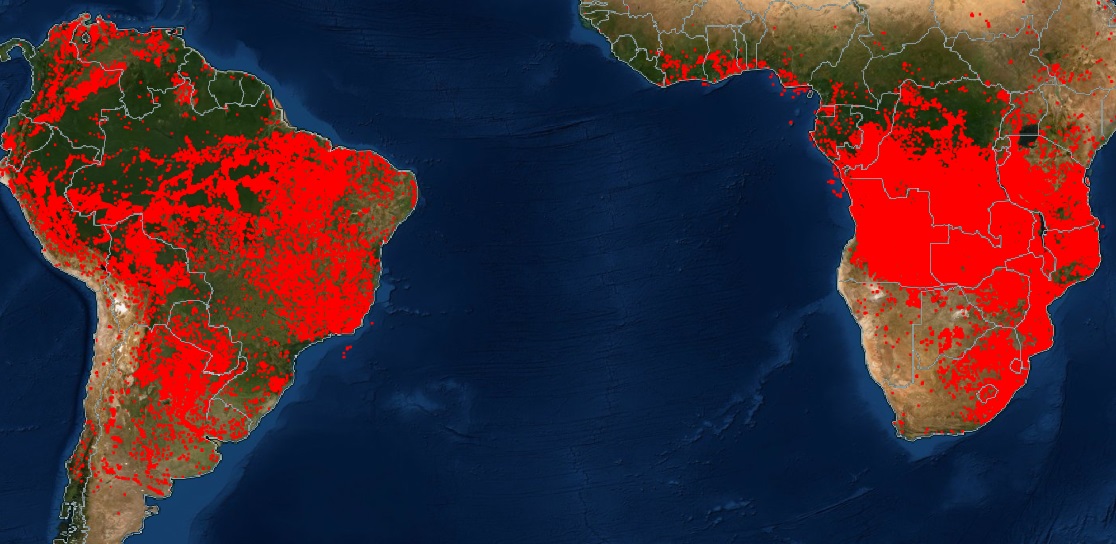 <span class="entry-title-primary">Centro da África está queimando mais que a Amazônia</span> <h2 class="entry-subtitle">Dados de satélite da NASA mostram que nos últimos sete dias o número de focos de calor foi muito maior na região tropical africana </h2>