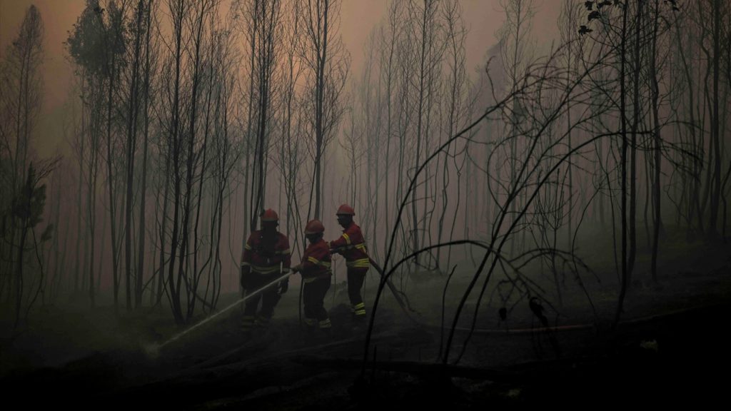 Brasil fora do mapa dos países com piores incêndios em julho