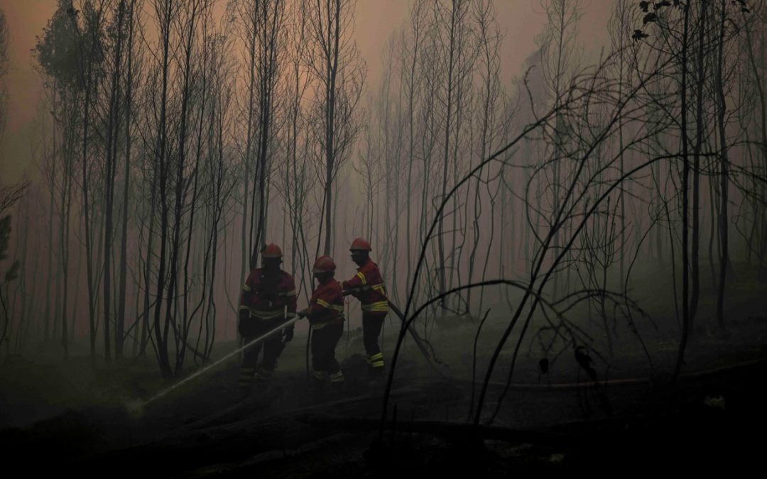 Brasil fora do mapa dos países com piores incêndios em julho Julho terminou com menos focos de calor que a média histórica no Brasil e no seu principal bioma que é a Amazônia
