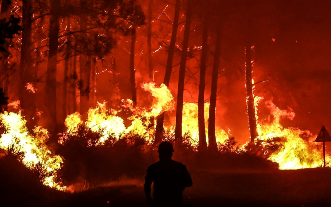 Floresta lendária do Rei Arthur e do Mago Merlin arde na França Incêndios seguem fora de controle na França e bombeiros torcem por chuva que pode aliviar a situação nas florestas ardentes