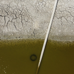 Inglaterra enfrenta seca histórica