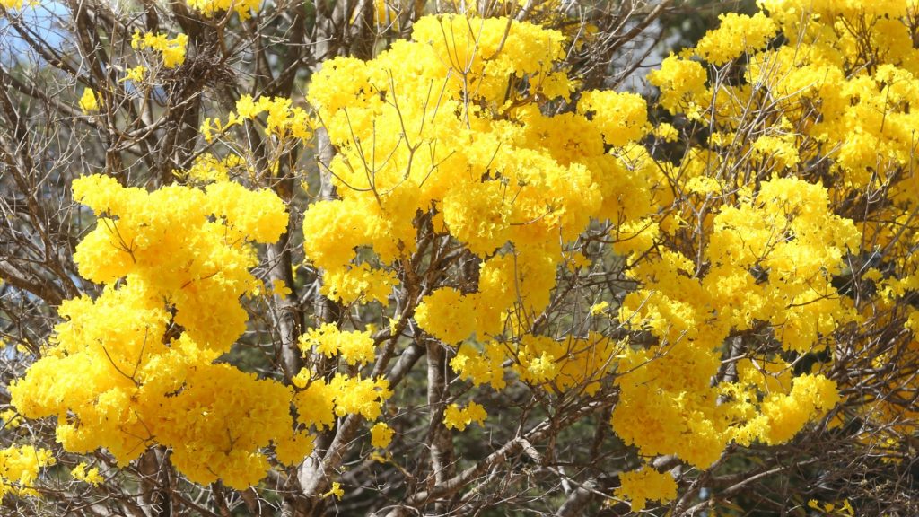 O que esperar do clima no mês de setembro