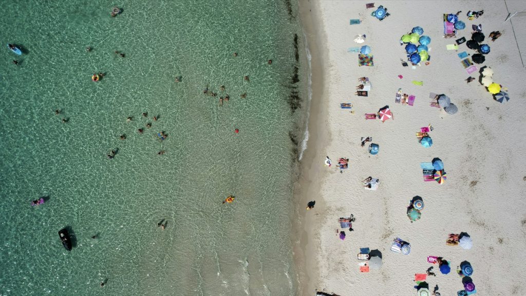 Água-viva gigante é ameaça com onda de calor marinha