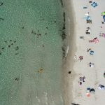 Água-viva gigante é ameaça com onda de calor marinha