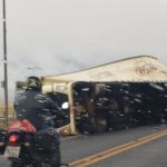 Chuva, vendavais e frio no Mato Grosso do Sul