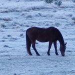 Rio Grande do Sul completa equivalente a um mês de marcas negativas