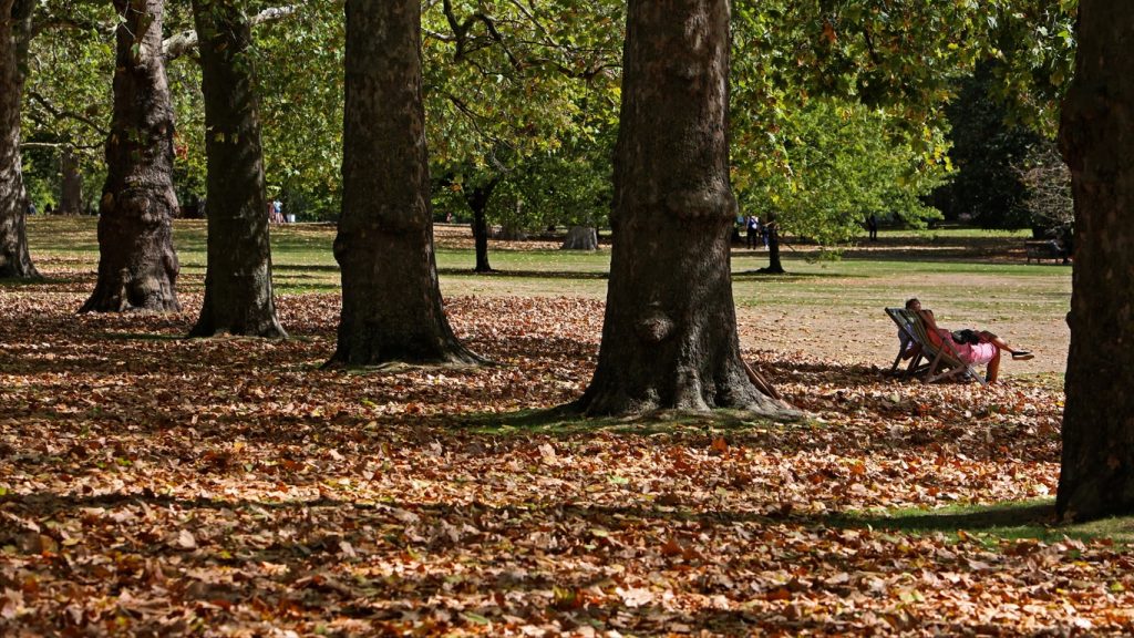 Inglaterra enfrenta “falso outono” por seca extrema e calor recorde