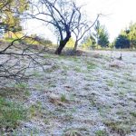 Grande Porto Alegre registra a menor temperatura do ano