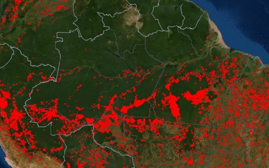 Amazônia teve 2500 focos de calor por fogo apenas ontem Últimos dias têm sido marcado por um elevadíssimo número de queimadas no bioma identificadas a partir de satélites