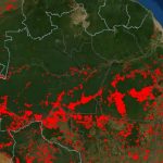 Amazônia teve 2500 focos de calor por fogo apenas ontem