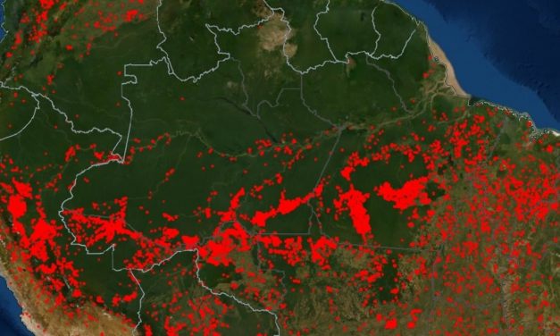 Amazônia teve 2500 focos de calor por fogo apenas ontem