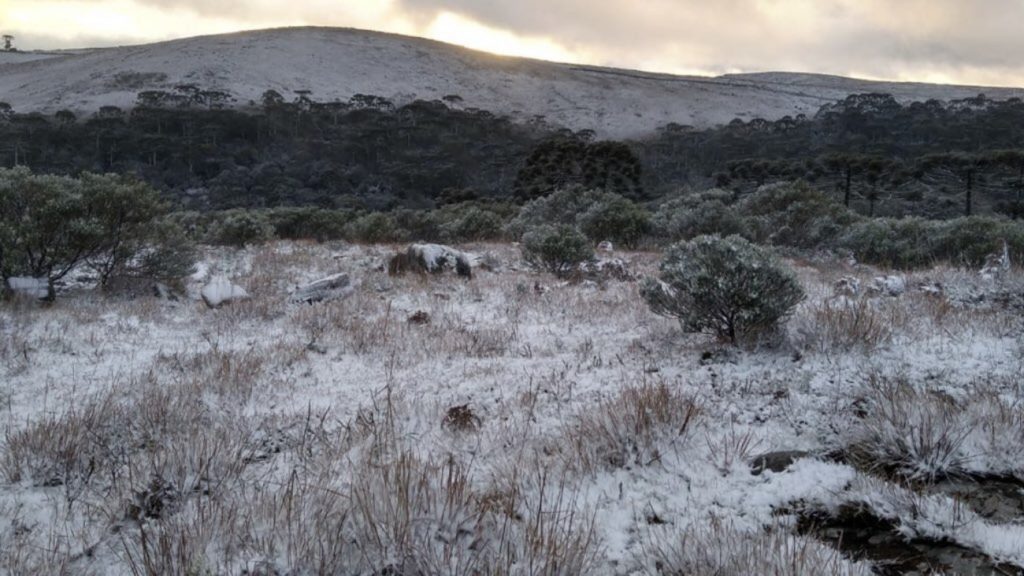 Neve nas primeiras horas da primavera branqueia paisagem no Sul do Brasil