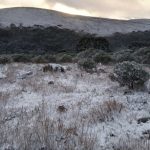 Neve nas primeiras horas da primavera branqueia paisagem no Sul do Brasil