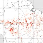 Queimadas têm recorde no Amazonas em setembro de fogo