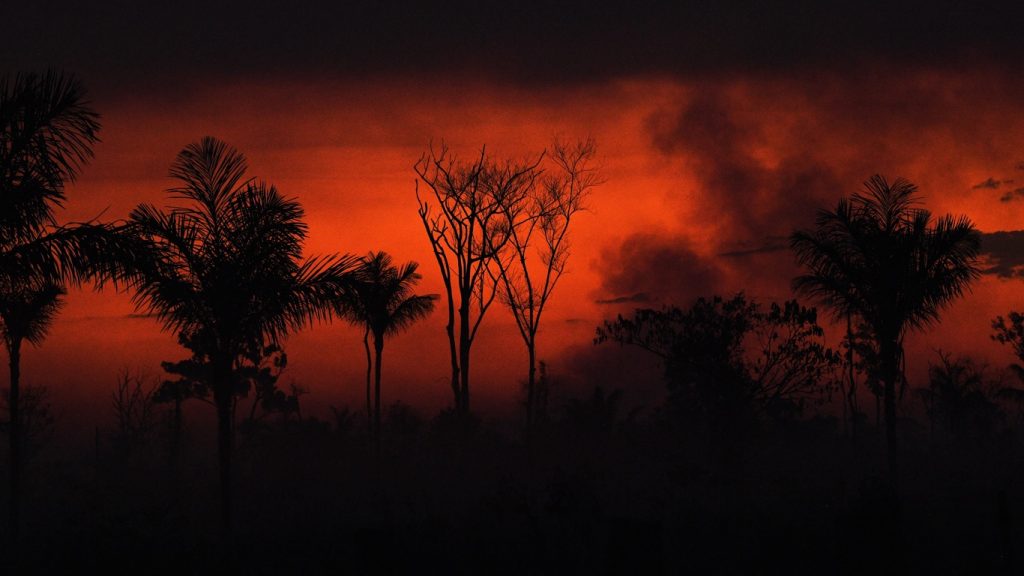 Amazônia registra pior agosto de fogo em 12 anos