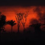 Amazônia registra pior agosto de fogo em 12 anos