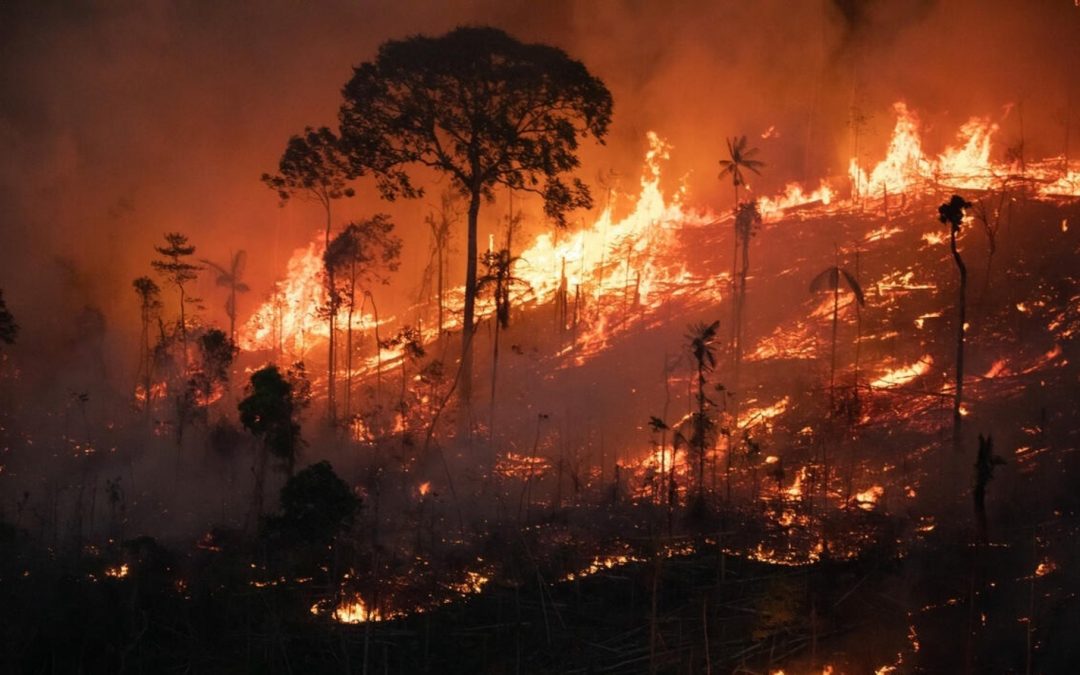 Setembro começa com número incomum de queimadas na Amazônia Somente no primeiro dia de setembro o estado do Amazonas teve um quinto da média histórica do mês inteiro de focos de calor