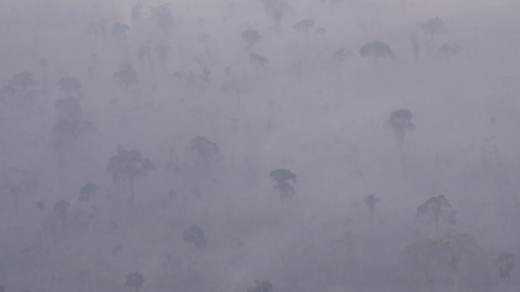 Amazônia tem início de mês comparável aos piores anos de fogo