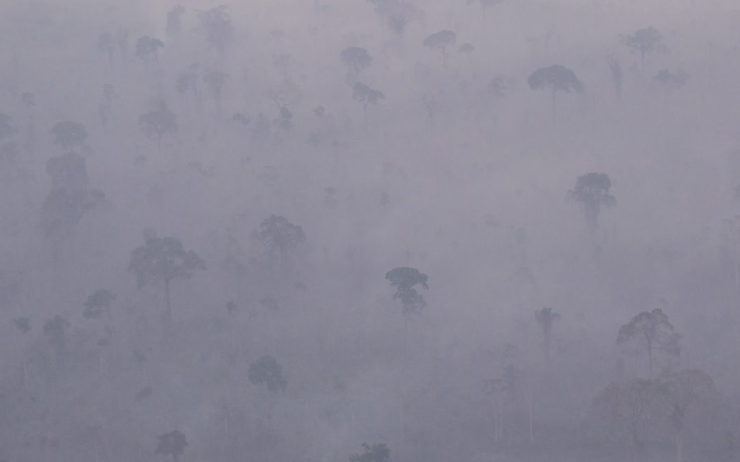 Amazônia tem início de mês comparável aos piores anos de fogo Dois dos primeiros três dias de setembro registraram a rara marca de mais de 3 mil focos de calor em apenas 24 horas