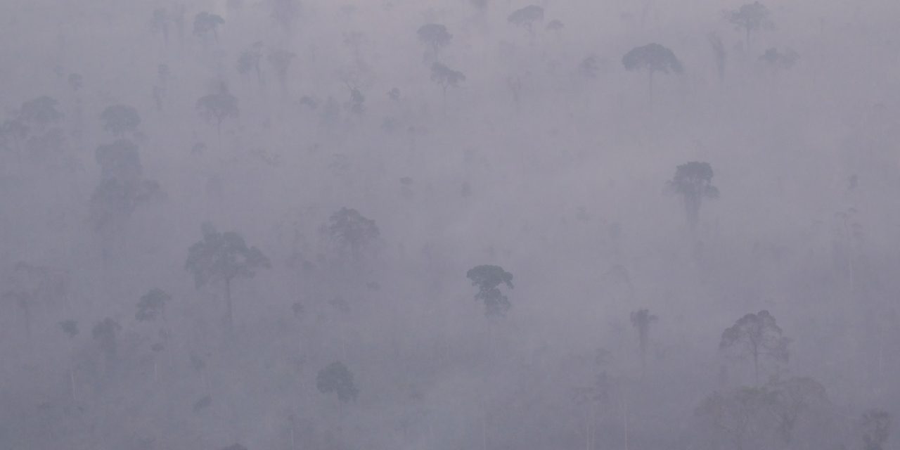 <span class="entry-title-primary">Amazônia tem início de mês comparável aos piores anos de fogo</span> <h2 class="entry-subtitle">Dois dos primeiros três dias de setembro registraram a rara marca de mais de 3 mil focos de calor em apenas 24 horas </h2>