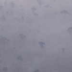 Amazônia tem início de mês comparável aos piores anos de fogo