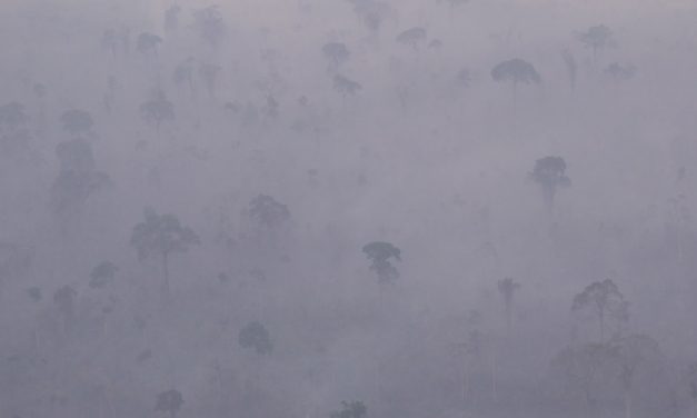 Amazônia tem início de mês comparável aos piores anos de fogo