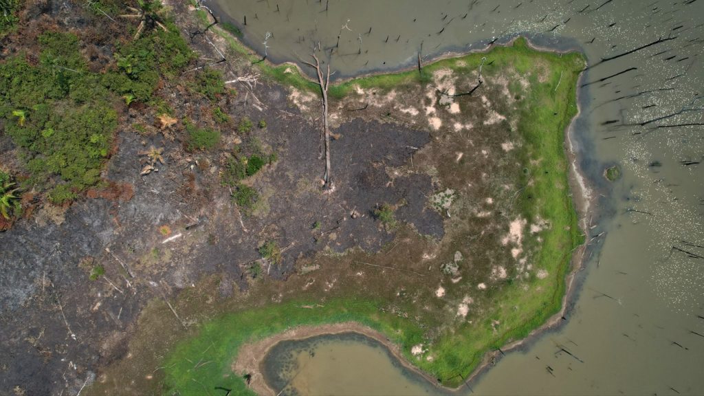 Imagens mostram destruição na Amazônia nos últimos dias