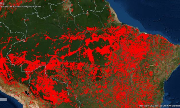 Amazônia registra 10 mil focos de calor em apenas três dias