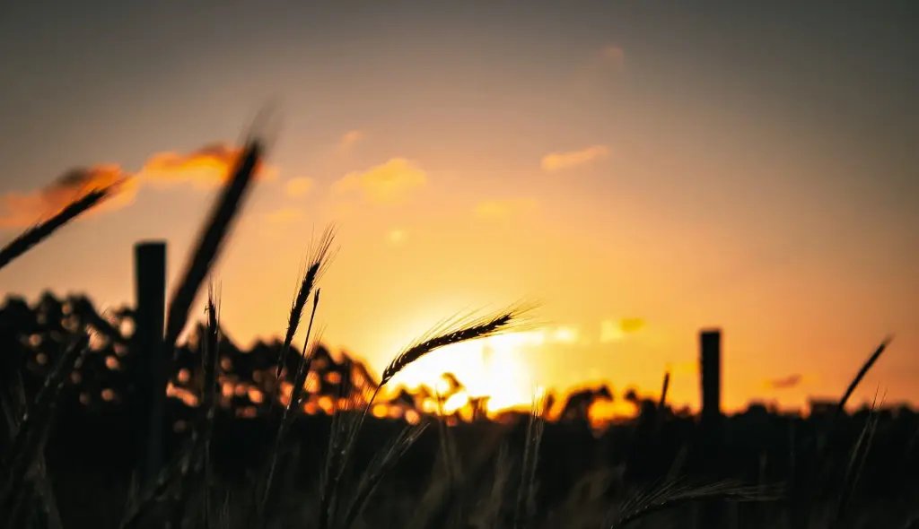Noites frias, tardes amenas e nova frente fria no Rio Grande do Sul
