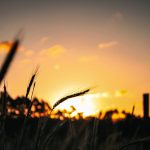 Noites frias, tardes amenas e nova frente fria no Rio Grande do Sul