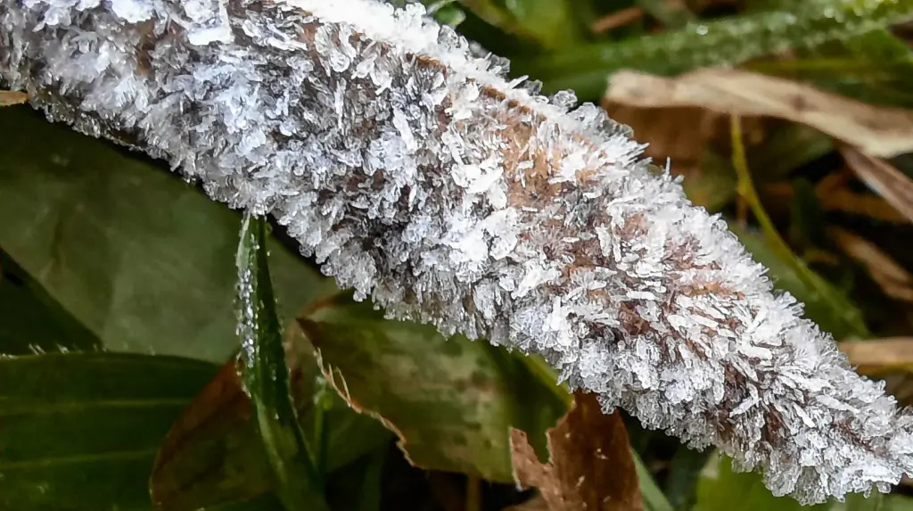 Frio marca o primeiro fim de semana da primavera