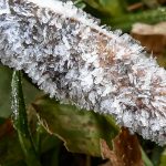 Frio marca o primeiro fim de semana da primavera