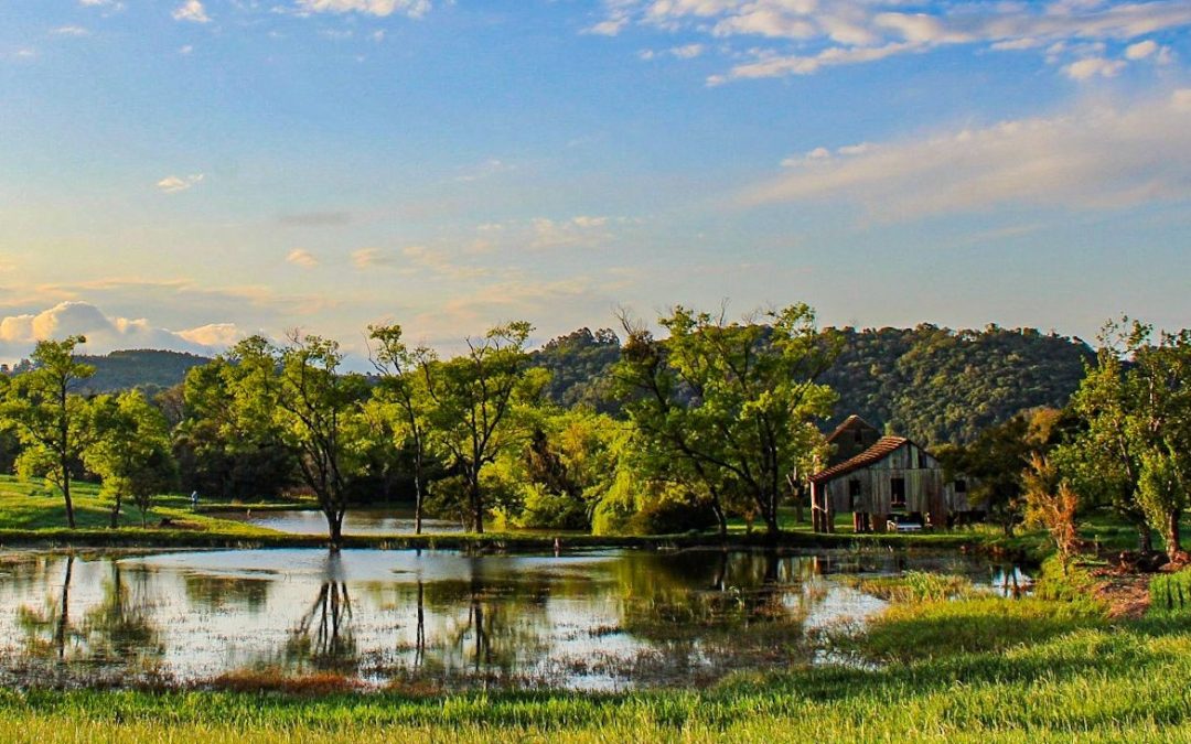 Previsão do tempo: o que os últimos dias de setembro reservam Veja a tendência do tempo pela MetSul nestes últimos dias de setembro e o começo de outubro no Rio Grande do Sul